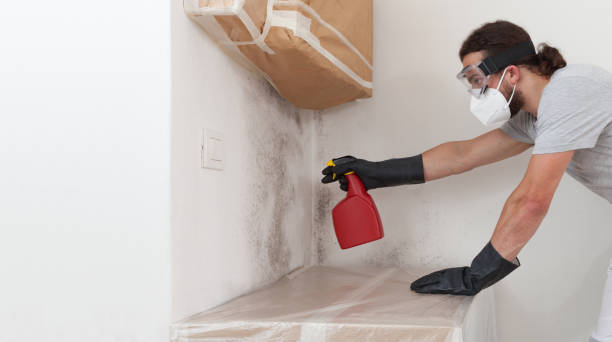 Professional Bathroom Mold Removal technician working in Mantua, NJ